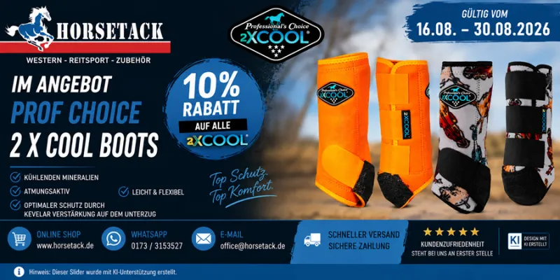 10% Rabatt auf alle 2 X Cool Boots