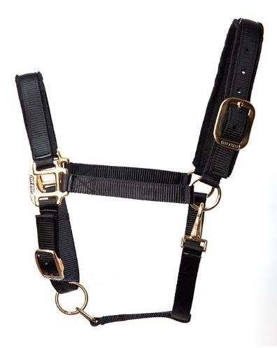 Tuff Stuff Halter - Black