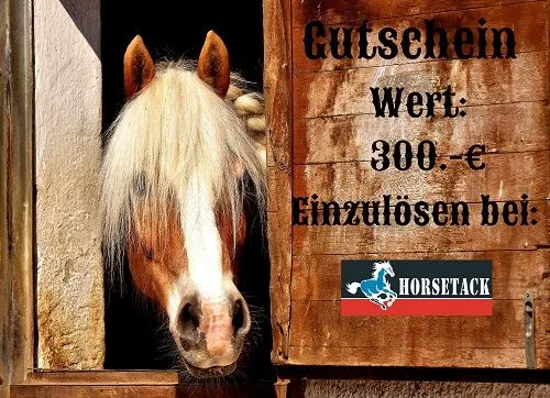 Gutschein 300.-