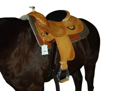 The Platinum - Show-Saddle Custom made
