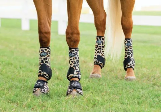 2X COOL Vorderbeine CHEETA