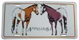 Schild Appaloosa