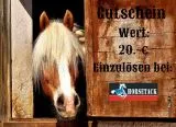 Gutschein 20.-¤ Gutschein 20.-¤