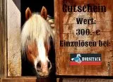 Gutschein 300.-¤ Gutschein 300.-¤