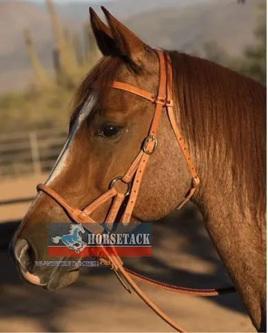 Schutz Collection Sidepull Nasenteil Rund