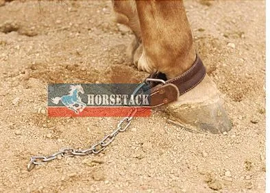 AD Kicking Chain Hobbels