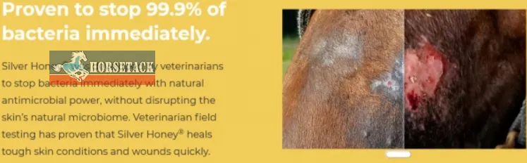 Wundpflegespray Gel Silver Honig