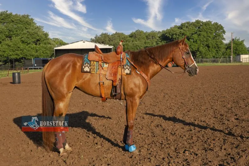 Good Medicine Kurzpad Bear Paw Pad OAT