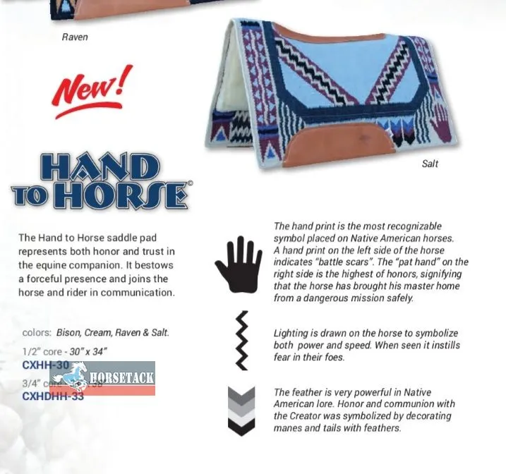 Hand to Horse Good Medicine Kurzpad Bison