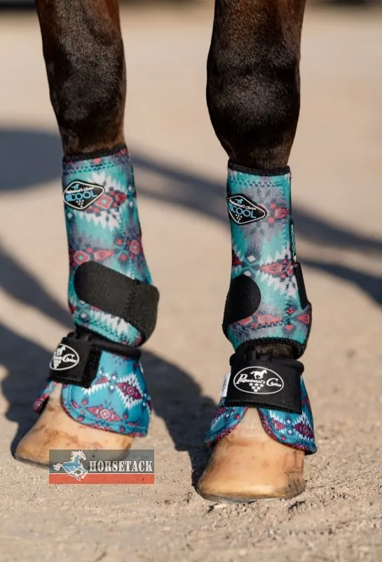 2X COOL Vorderbeine TAOS 2023