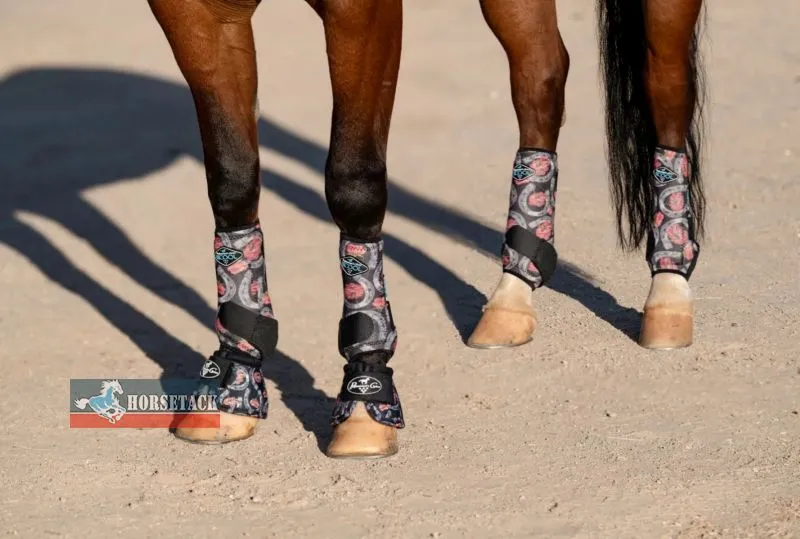 2X COOL Vorderbeine HORSE SHOE 2023