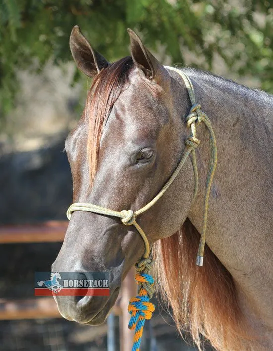 Professionals Choice Rope-Halter - Chocolate/Turquoise