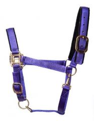Tuff Stuff Halter - Purple