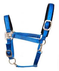 Tuff Stuff Halter - Royal