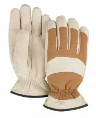 Handschuhe WINTER EAGLE