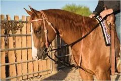 Draw Rope Martingale