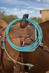 Bungee Rope Halter