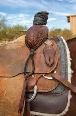 Bungee Rope Halter