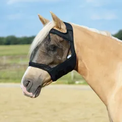 Fly Guard Pony
